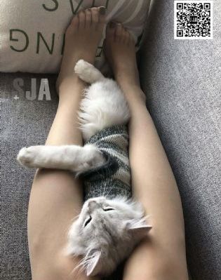 动漫免费