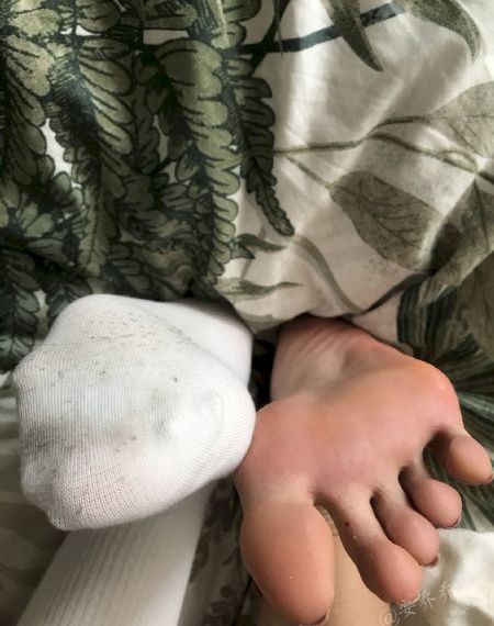 舒克贝塔第四季免费观看