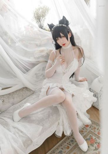 狂野少女免费观看完整电视高清