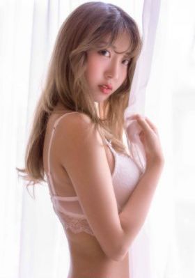 迷网追凶